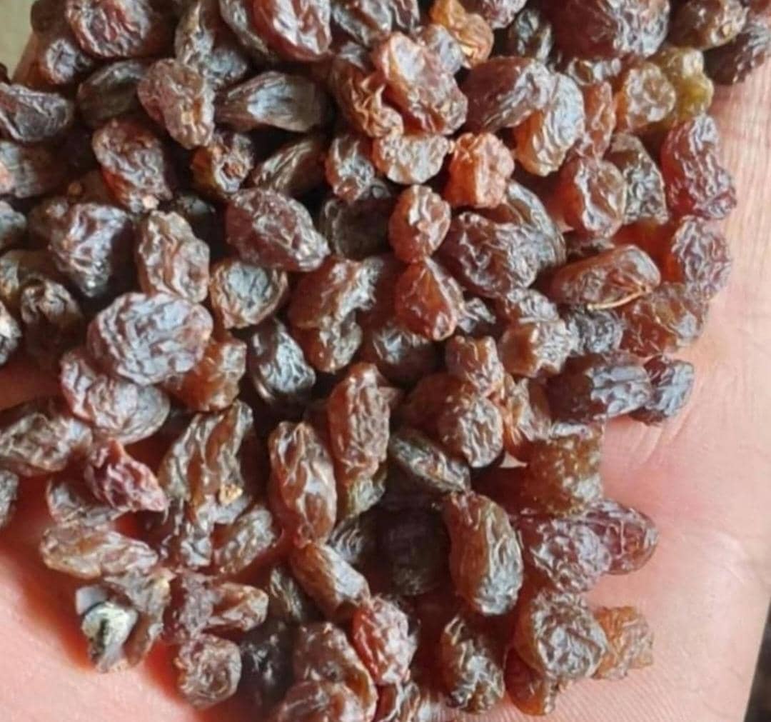 پخش و فروش عمده کشمش و مویز حشمتی در شهرکرد